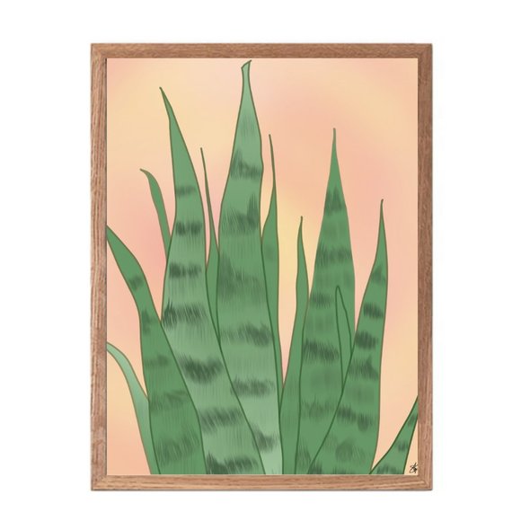 Snake Plant Sansevieria Mother's Tongue Orignal Print Graphic Drawing 11x14 - Picture 5 of 5